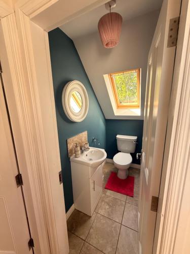 a bathroom with a toilet and a sink at Peaceful Red Deer Cosy Apt in Letterfrack near The Connemara National Park in Letterfrack