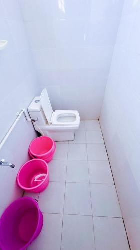a bathroom with two pink toilets and a sink at Backpackers Hub in Dimapur