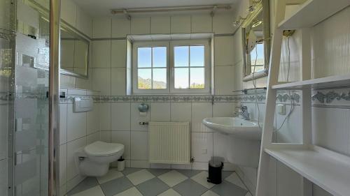 a bathroom with a toilet and a sink at Panorama Haus am Traunsee in Traunkirchen
