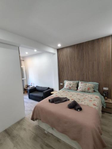 OLA-INN Apartment