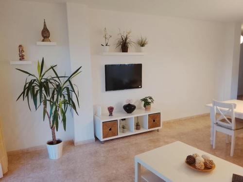 Apartaments Estarsol