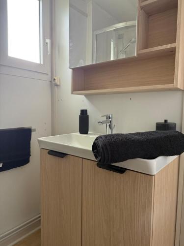 a bathroom with a sink with a towel on it at Charmant chalet près d Albi et des vignobles in Rivières