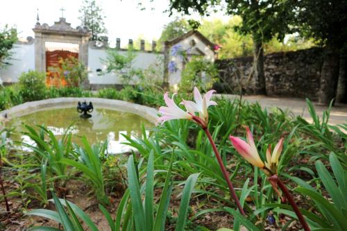 Gallery image of Casa de Piellas in Cabeceiras de Basto