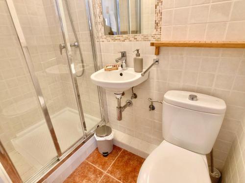 a bathroom with a toilet and a sink and a shower at Spanish Connection - Las Amoladeras in Cabo de Palos