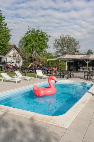 a red swan float in a pool at a resort at Casa Diana Confort in Avrig