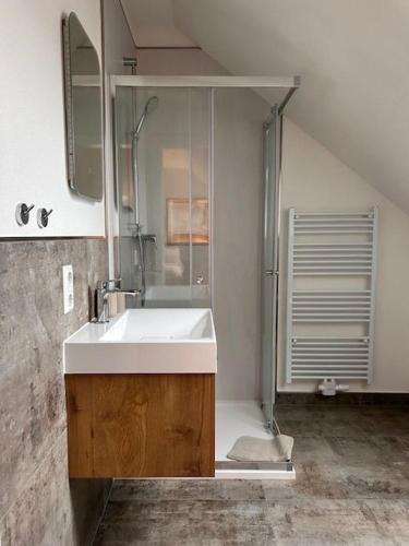 a bathroom with a sink and a shower at Haus Knechtel in Stadtallendorf