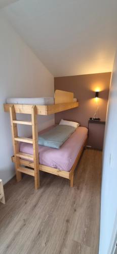 a small bedroom with bunk beds in a room at Eaglerock guesthouse 2 in Kirkjubæjarklaustur