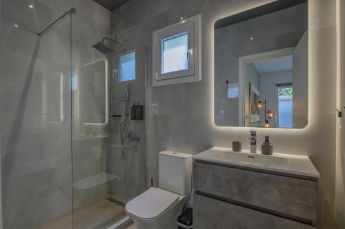 a bathroom with a toilet and a sink and a shower at Kalafatis Garden House in Itea