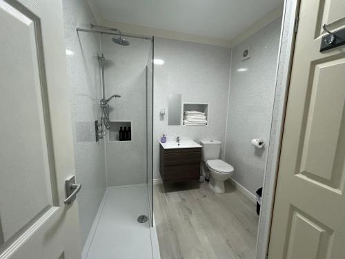 a bathroom with a shower and a toilet and a sink at New Drovers in Llanelli