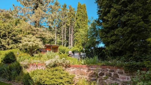a garden with trees and a house in the background at Idyllische Ferienwohnung im Kalletal in Kalletal