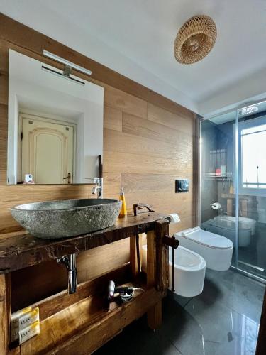 a bathroom with a stone sink and a toilet at Da Ö NOXE in Bracco