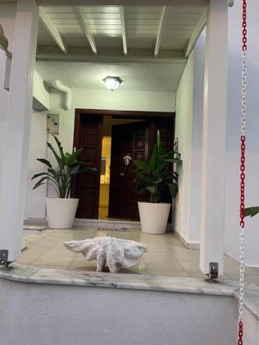 a statue of an animal on the floor of a building at Oran House in Ayvalık
