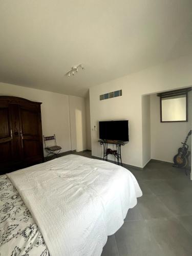 140 m apartment, 4 bedrooms sea airport and tram