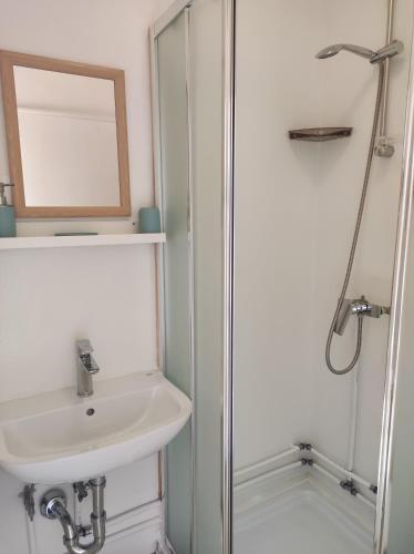 a bathroom with a sink and a shower at Apartment Cimbora, Salara farmhouse in Koper