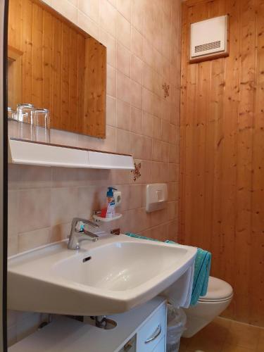 a bathroom with a sink and a toilet at Gästehaus Kiesmüller in Aschau im Chiemgau