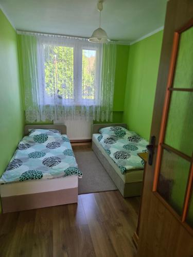 two beds in a room with green walls and a window at Apartament blisko Świeradowa in Mirsk