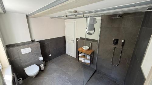 a bathroom with a shower and a toilet at Hotel am Kocher in Schwäbisch Hall