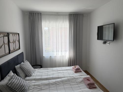a bedroom with two beds and a flat screen tv at Apartamenty Dana in Pustkowo