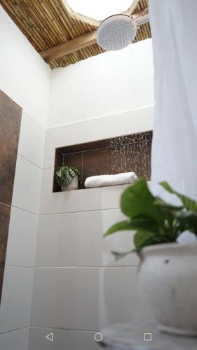 a bathroom with a potted plant on a wall at Taida Chalet - Glamping in Villa de Leyva
