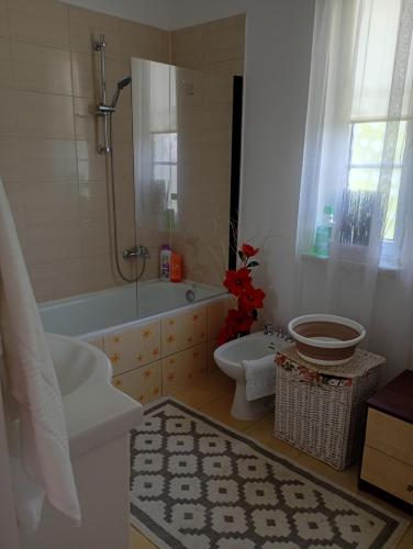 a bathroom with a shower and a toilet and a sink at Noclegi u Franciszka in Trzebiesza