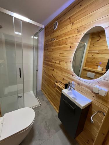 a bathroom with a toilet and a sink and a mirror at Leśny Zakątek - Mazury - Warmia - jezioro Dadaj in Ramsowo