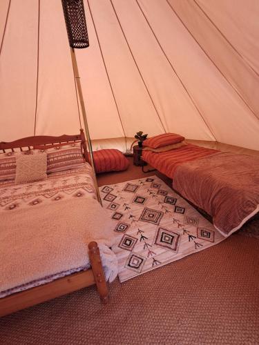 a tent with two beds and a rug in a room at The Old Waterworks - Venus Bell Tent in Clare