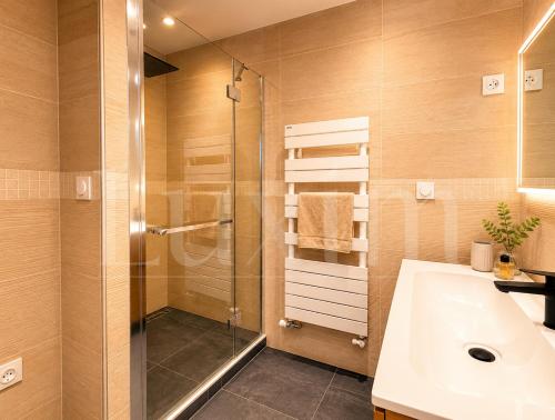 a bathroom with a shower and a sink at Le Cocon de la Presqu'île in Lyon