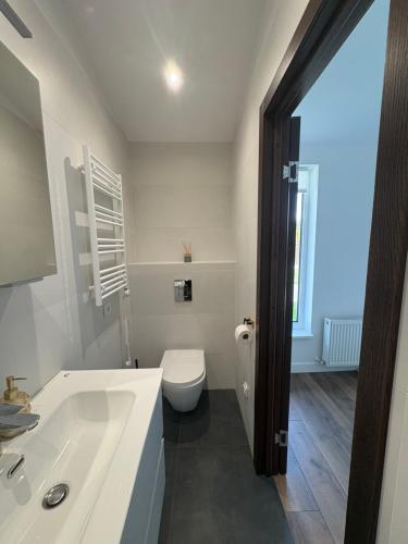 a white bathroom with a toilet and a sink at Jasmine Guest Room in Jauntīreļi