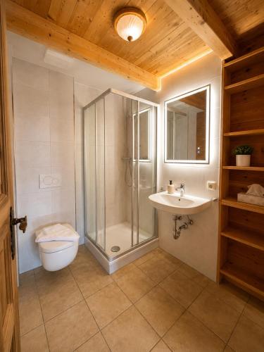 a bathroom with a shower and a toilet and a sink at Chalets mit Schlierseeblick, neue Küche neues Bad in Schliersee