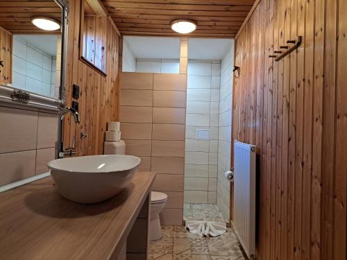 a bathroom with a bowl sink and a toilet at Diófa Vendégházak in Tiszafüred