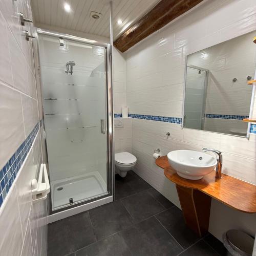 a bathroom with a shower and a sink and a toilet at Gîte Le Pré Doux in Ambert