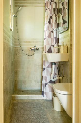 a bathroom with a shower and a toilet and a sink at Apartments Danilo in Herceg-Novi