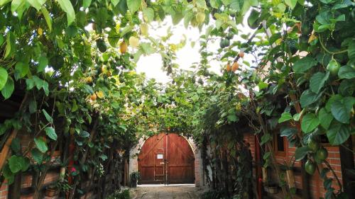 Hotel Kantarrana Urbana Jardinにある庭
