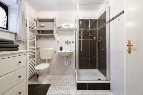 a bathroom with a shower and a toilet and a sink at Wieschengrund in Neustadt in Holstein