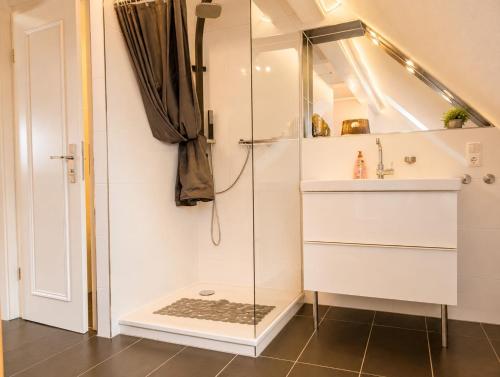 a bathroom with a shower and a sink at Chalet Platzhirsch in Braunlage