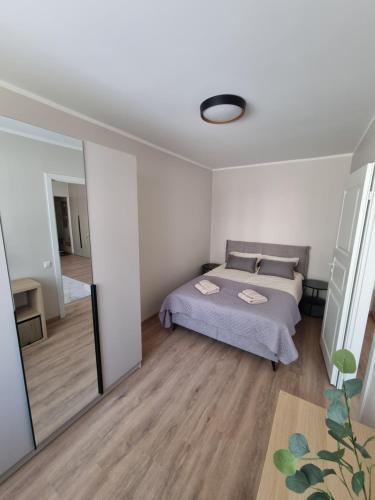 a bedroom with a bed and a large mirror at Hubane korter Paalalinnas in Viljandi