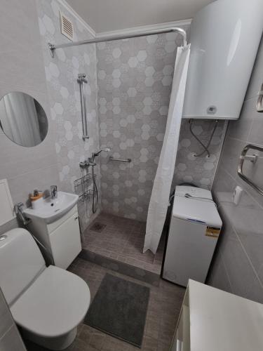 a small bathroom with a toilet and a sink at Hubane korter Paalalinnas in Viljandi