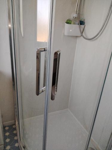 a shower with a glass door in a bathroom at Willow House in Newtownshandrum