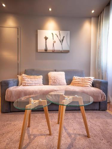 La Plage dAlbigny - Apartment classified stars 100 m from the lake