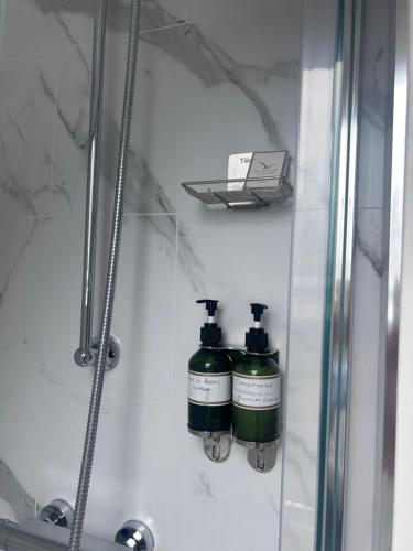 two bottles on a shelf in a shower stall at Wendys house in Sarisbury Green