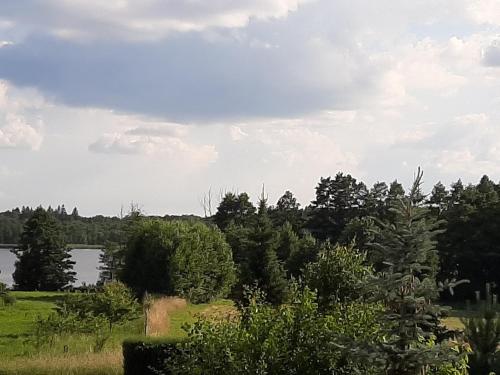 a view of a lake in a field with trees at Pod żurawiem II in Szwalk