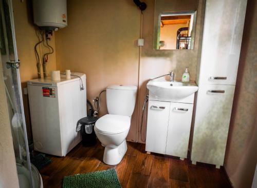 a small bathroom with a toilet and a sink at Mchowa Chata in Słupia