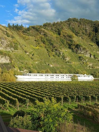a train traveling through a vineyard with a hill at Ferienwohnung mit Blick auf die Moselloreley in Piesport