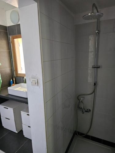 a bathroom with a shower and a sink at Villa Boulou in Rognes