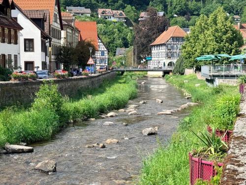 a river in a town with animals in the water at Zur alten Brücke in Schiltach