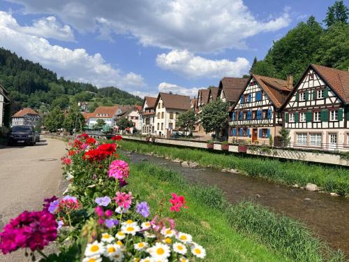 a village with flowers on the side of a road at Zur alten Brücke in Schiltach