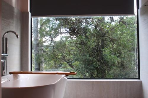 a bathroom with a sink and a window with a tree at Pousada Amigos da Montanha in Urubici