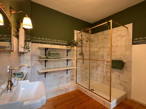 a bathroom with a shower and a sink at Villa Belle in Freudenberg