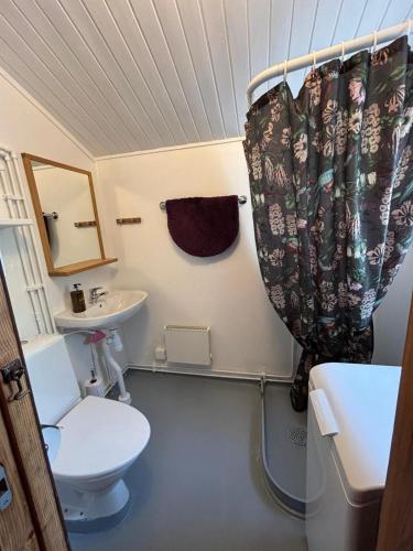 a small bathroom with a toilet and a sink at Flamingon' in Undenäs