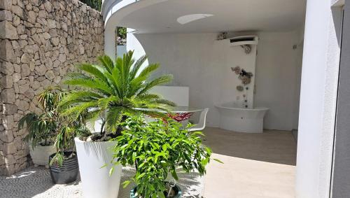 a bathroom with plants and a bath tub in a building at Villa Perla Baska in Baška